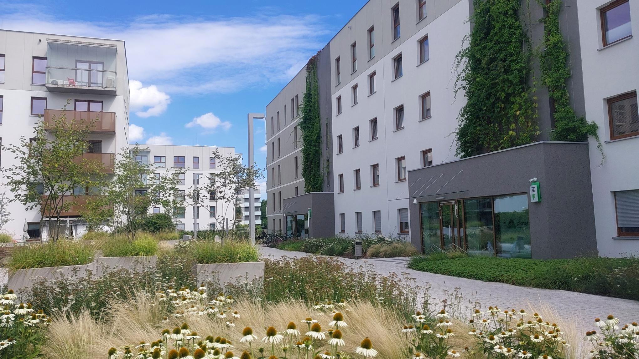 2 Kilka planów architektonicznych, zazielenione ściany nad wejściami, niska zieleń zakomponowana przy wejściach.jpg