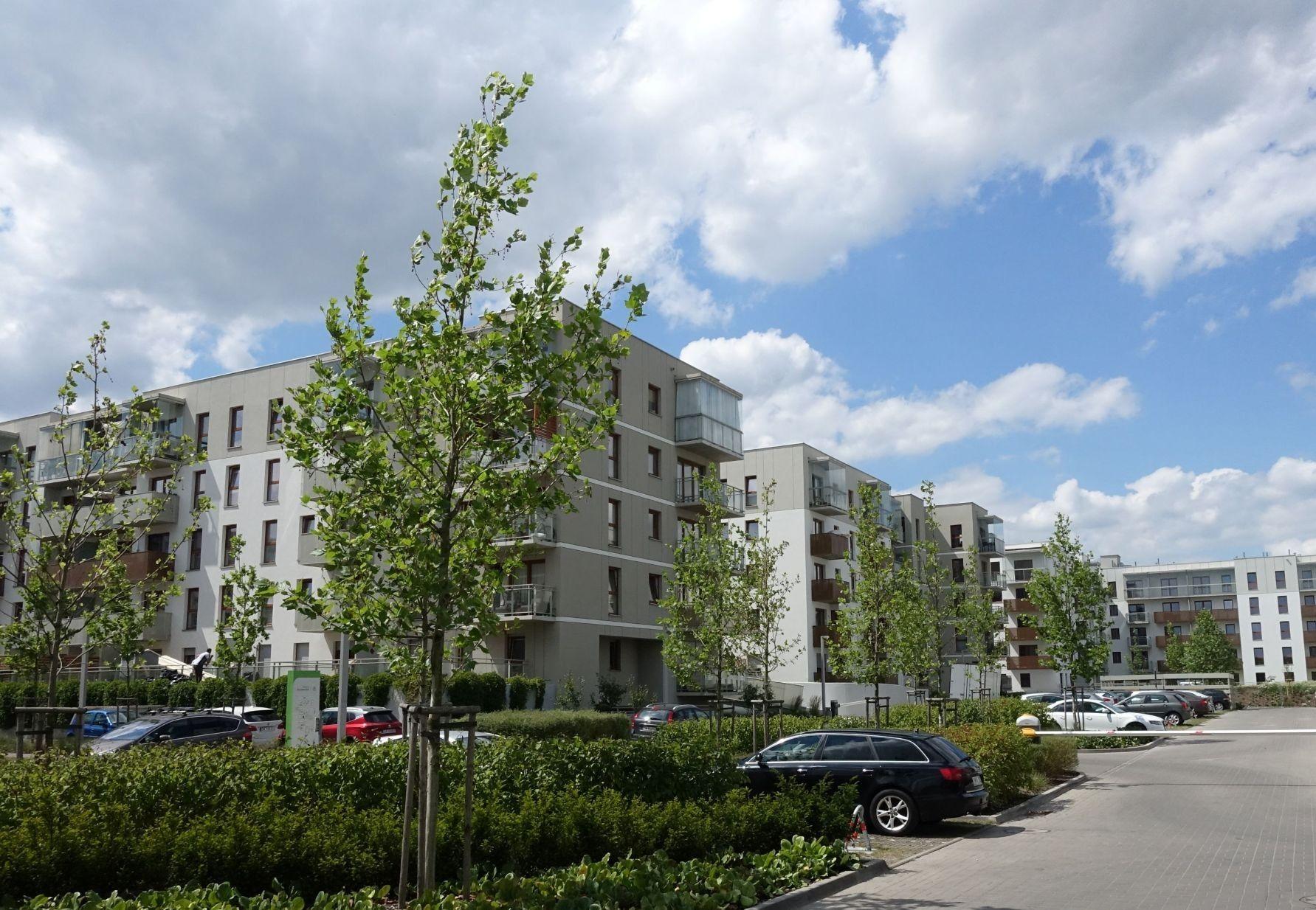 9 Kameralna niska zabudowa, funkcjonalna architektura i zieleń sprzyjają użytkownikom.jpeg